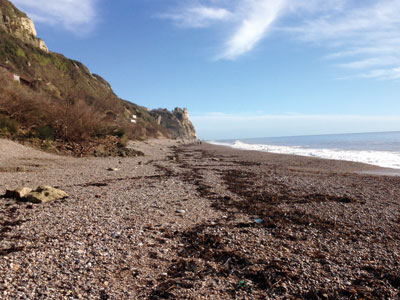 Devon Coastline