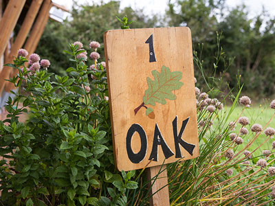 Glamping Oak Safari Tent